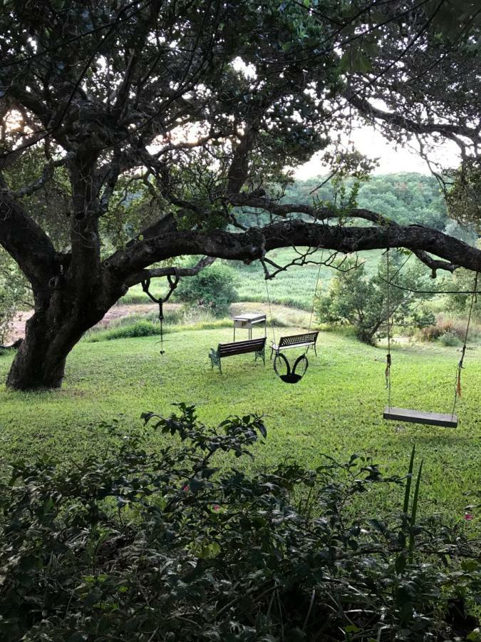 Nkumbe Bush Retreat Family Home Ponta Malongane Exterior photo